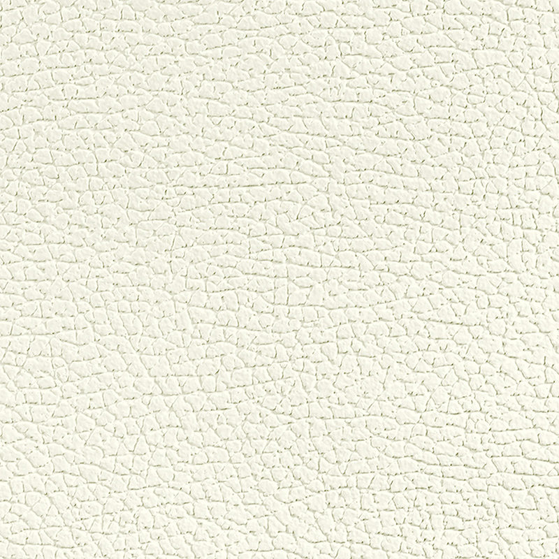 PZ02 Leather2 টেক্সচার প্যানেল - হালকা বিলাসিতা