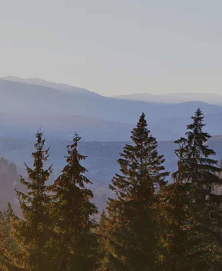 লেদার ডিজাইন মেলামাইন বোর্ড